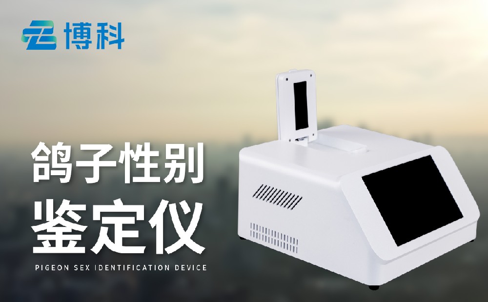 鸽子公母检测仪 鸽子公母检测仪